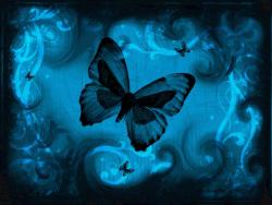 تصویر پروانه آبی