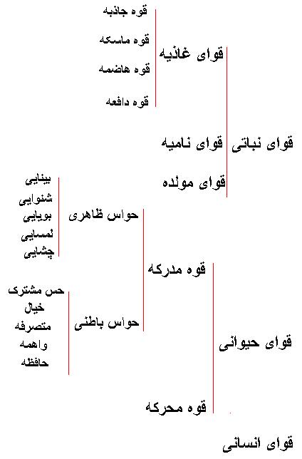 IMAGE(http://askdin.com/sites/default/files/gallery/images//12012/1__________________.JPG)