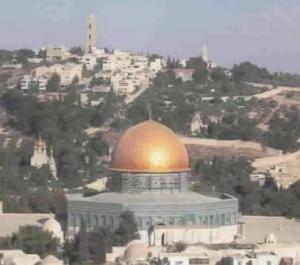 IMAGE(http://askdin.com/sites/default/files/gallery/images//15931/medium/1_jerusalem_of_gold5-002.jpg)