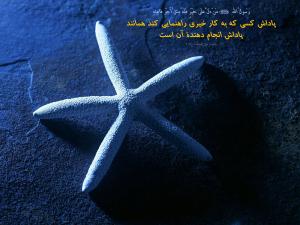 IMAGE(http://askdin.com/sites/default/files/gallery/images//16778/medium/1_uhoy4cljyqqwl0j4unyj.jpg)
