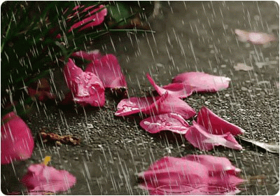 IMAGE(http://askdin.com/sites/default/files/gallery/images//1901/1_rain.gif)
