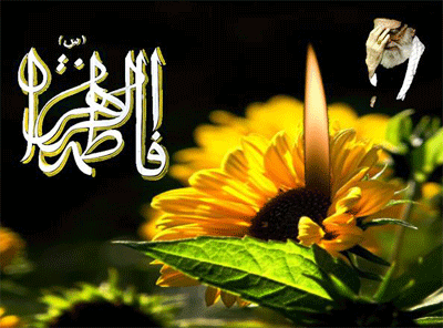 IMAGE(http://askdin.com/sites/default/files/gallery/images//22541/1_90613575342857895179.gif)