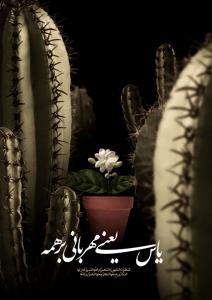 IMAGE(http://askdin.com/sites/default/files/gallery/images//22541/medium/2_yazahra.jpg)