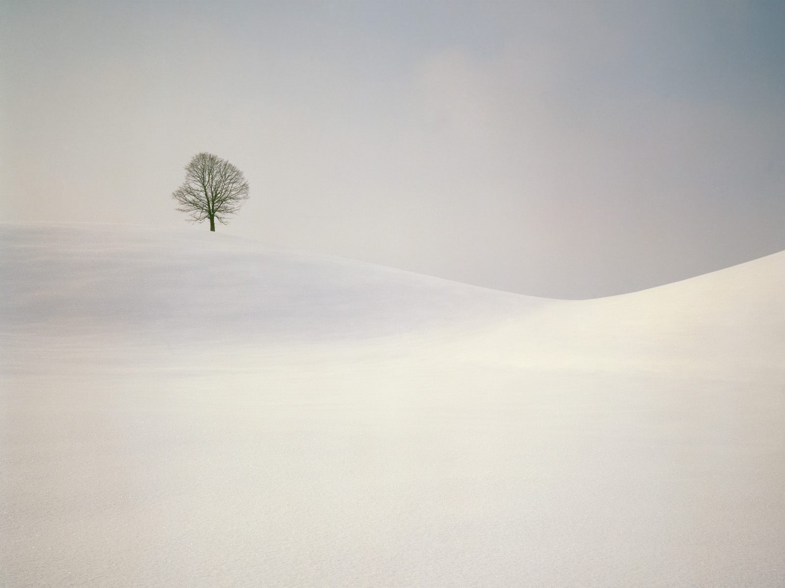 IMAGE(http://askdin.com/sites/default/files/gallery/images//2937/1_Winter__23_.jpg)