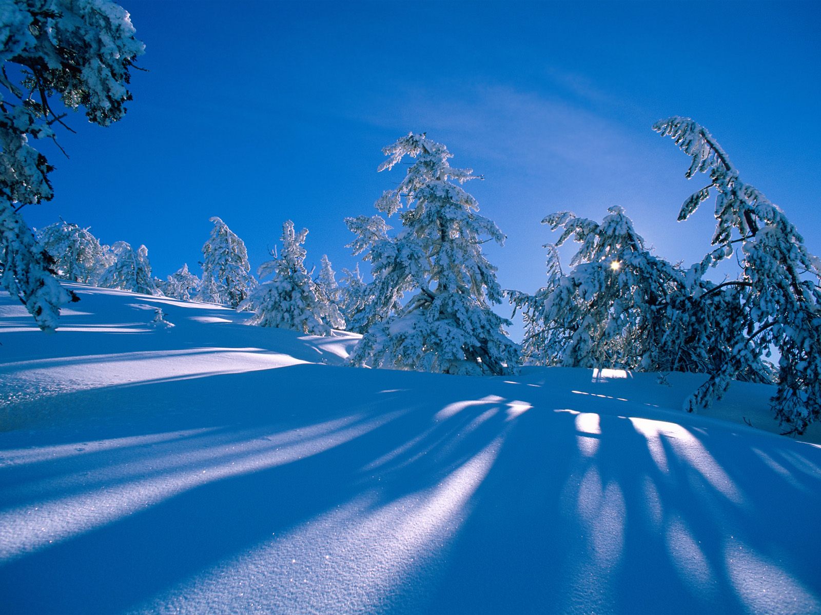 IMAGE(http://askdin.com/sites/default/files/gallery/images//2937/1_Winter__30_.jpg)