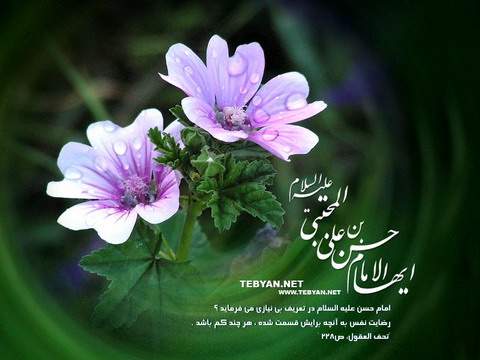 IMAGE(http://askdin.com/sites/default/files/gallery/images//2937/1_hasan.jpg)