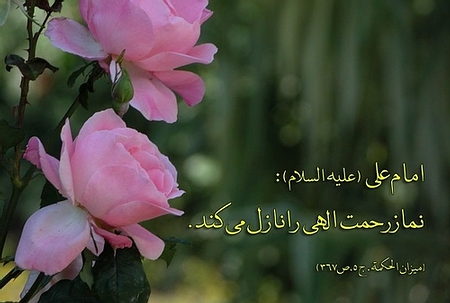 IMAGE(http://askdin.com/sites/default/files/gallery/images//2937/5_4.jpg)
