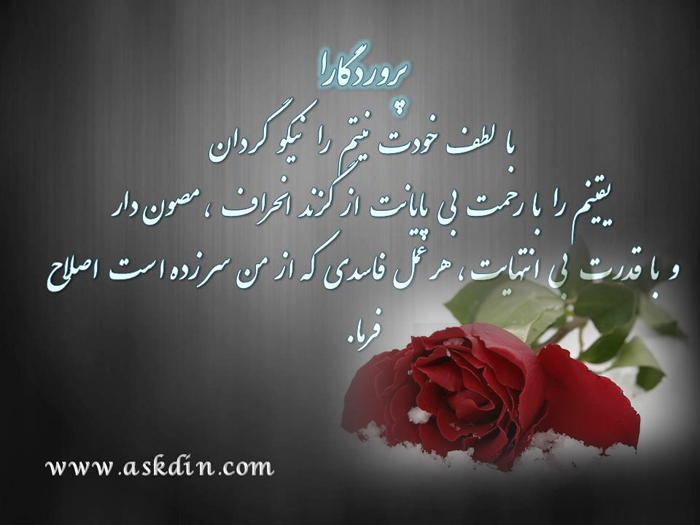 IMAGE(http://askdin.com/sites/default/files/gallery/images//3052/1_128h.jpg)