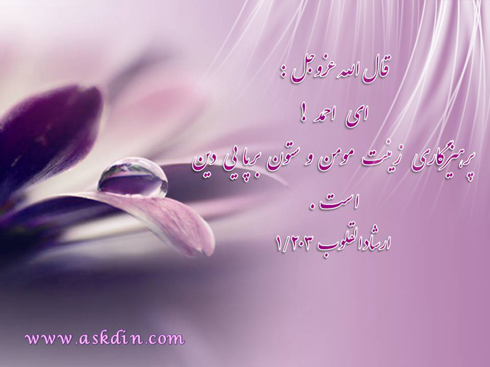 IMAGE(http://askdin.com/sites/default/files/gallery/images//3052/1_n__5_.jpg)