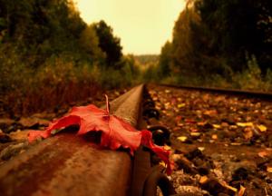 IMAGE(http://askdin.com/sites/default/files/gallery/images//3554/medium/1_baran.jpg)