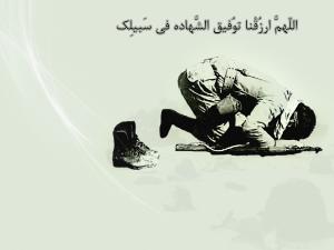 IMAGE(http://askdin.com/sites/default/files/gallery/images//3554/medium/1_siXrUC.jpg)