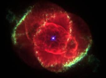 IMAGE(http://askdin.com/sites/default/files/gallery/images//378/1_Rose-Color-Star-askdin.com.jpg)