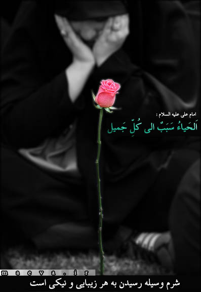 IMAGE(http://askdin.com/sites/default/files/gallery/images//4435/1_siMOpw.jpg)