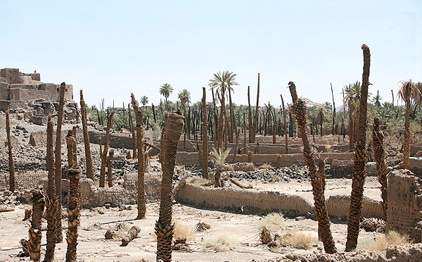 IMAGE(http://askdin.com/sites/default/files/gallery/images//514/1_zahra_20_3__1_.jpg)
