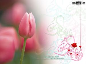 IMAGE(http://askdin.com/sites/default/files/gallery/images//514/medium/1_23.jpg)