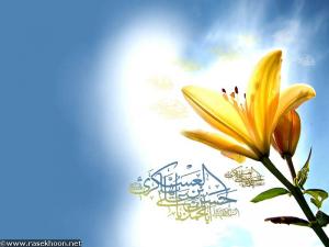 IMAGE(http://askdin.com/sites/default/files/gallery/images//514/medium/1_7a001d8e-8646-4365-8c30-ac147a399954.jpg)