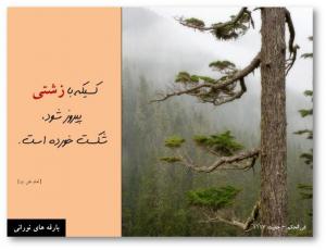 IMAGE(http://askdin.com/sites/default/files/gallery/images//514/medium/1_Hadis_Nice_20_2_.jpg)