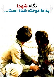 IMAGE(http://askdin.com/sites/default/files/gallery/images//514/medium/1_shahid_143_copy.jpg)