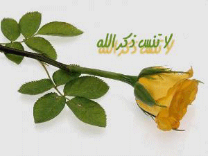 IMAGE(http://askdin.com/sites/default/files/gallery/images//594/1_09673360052656299662.gif)