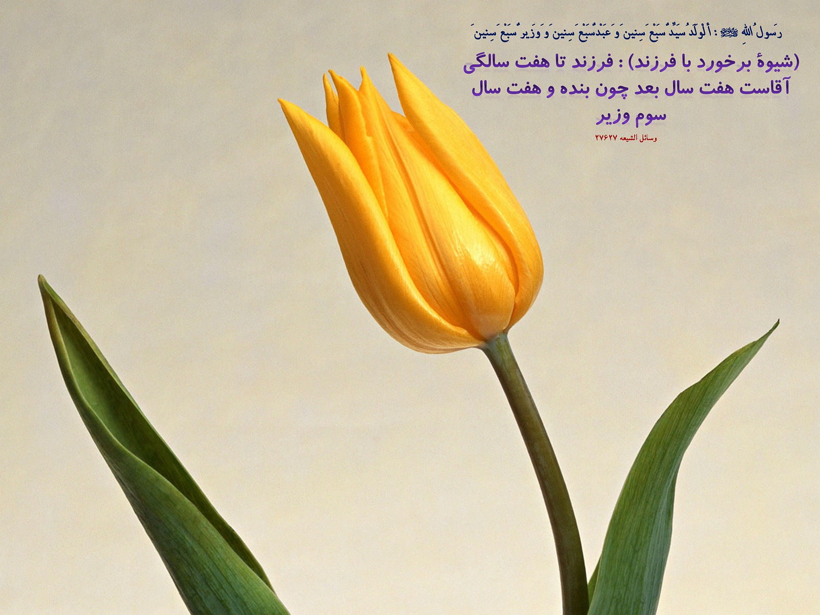 IMAGE(http://askdin.com/sites/default/files/gallery/images//594/1_810_Hadis_024.jpg)