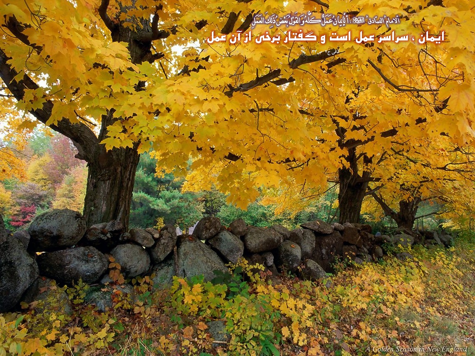 IMAGE(http://askdin.com/sites/default/files/gallery/images//594/1_810_Hadis_049.jpg)