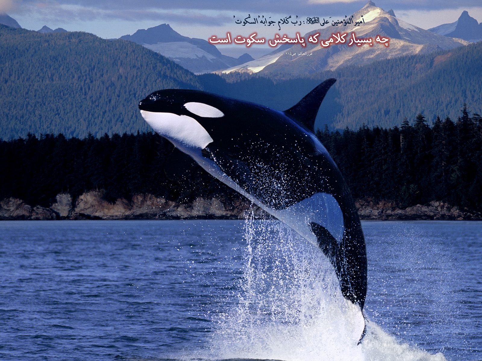 IMAGE(http://askdin.com/sites/default/files/gallery/images//594/1_810_Hadis_106.jpg)