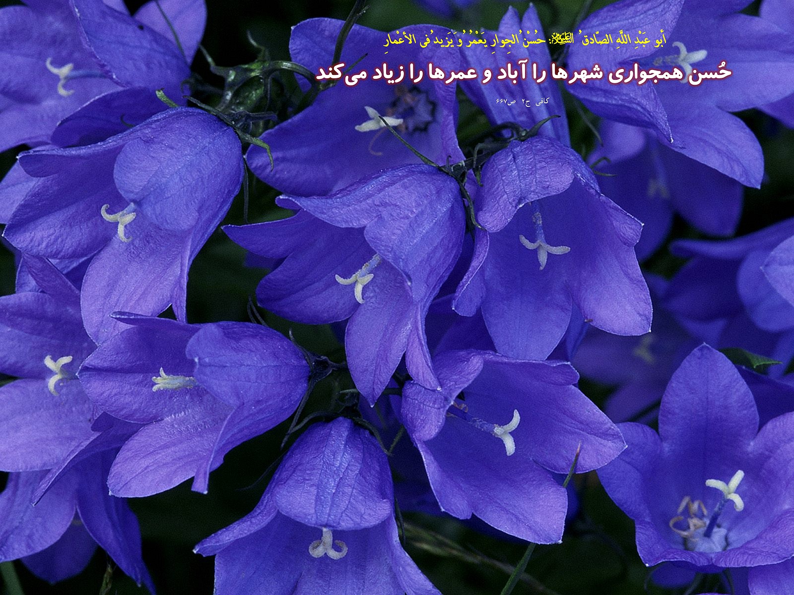 IMAGE(http://askdin.com/sites/default/files/gallery/images//594/1_810_Hadis_107.jpg)