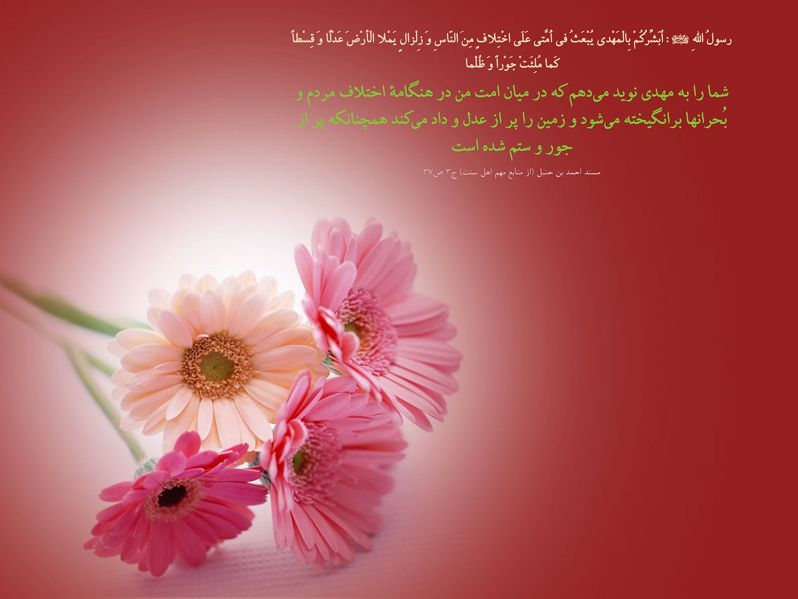 IMAGE(http://askdin.com/sites/default/files/gallery/images//594/1_810_Hadis_653.jpg)
