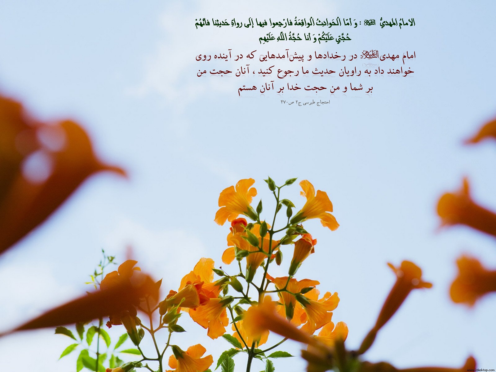 IMAGE(http://askdin.com/sites/default/files/gallery/images//594/1_810_Hadis_797.jpg)