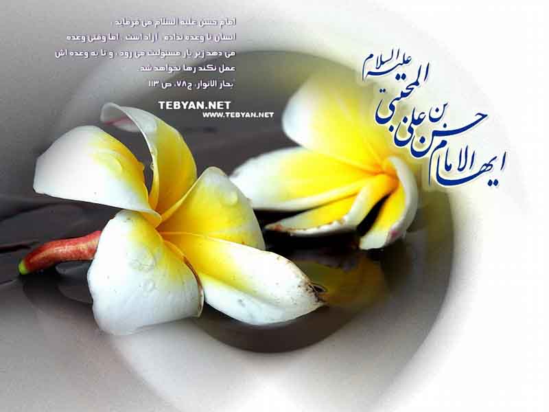 IMAGE(http://askdin.com/sites/default/files/gallery/images//594/1_imam_20hasan_20088.jpg)