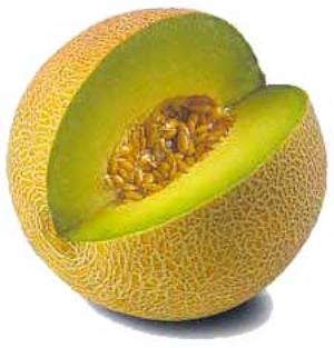 IMAGE(http://askdin.com/sites/default/files/gallery/images//594/1_melon.jpg)