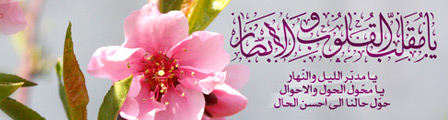 IMAGE(http://askdin.com/sites/default/files/gallery/images//594/1_yamoghaleb2.jpg)