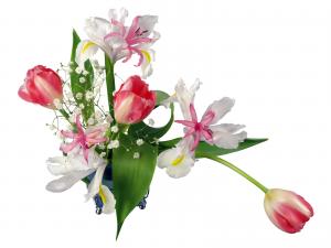 IMAGE(http://askdin.com/sites/default/files/gallery/images//594/medium/1_1600tulip_2002.jpg)