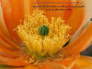 IMAGE(http://askdin.com/sites/default/files/gallery/images//594/medium/1_810_Hadis_513.jpg)