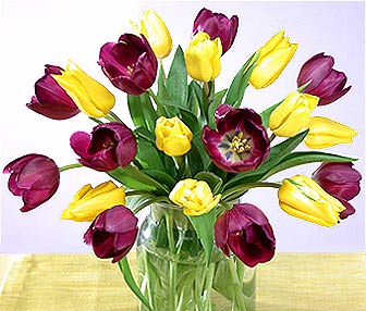 IMAGE(http://askdin.com/sites/default/files/gallery/images//6096/1_SVF20yellpurptul_LS_lg.jpg)