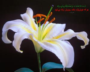 IMAGE(http://askdin.com/sites/default/files/gallery/images//6096/medium/1_Hadis_457_NR.jpg)