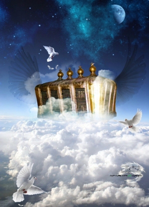 IMAGE(http://askdin.com/sites/default/files/gallery/images//8087/1_8shaval.jpg)