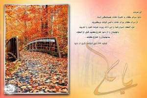 IMAGE(http://askdin.com/sites/default/files/gallery/images//8361/medium/9_1.jpg)