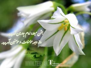 IMAGE(http://askdin.com/sites/default/files/gallery/images/10784/medium/1_yaspic.ir-emam-sajad-201.jpg)