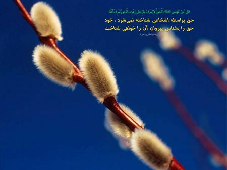 IMAGE(http://askdin.com/sites/default/files/gallery/images/19309/1_0.823321001387886624_parsnaz_ir_1_.jpg)