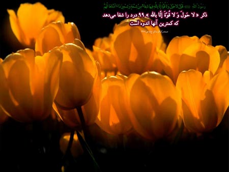 IMAGE(http://askdin.com/sites/default/files/gallery/images/19309/1_0.945939001387886624_parsnaz_ir_1_.jpg)