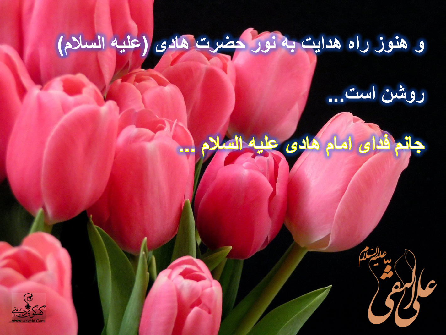 IMAGE(http://askdin.com/sites/default/files/gallery/images/22541/2_Picture4.png)
