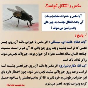 IMAGE(http://askdin.com/sites/default/files/gallery/images/22541/medium/1_1049649-9551bb5b8db059fe0e13cc8439908cbd-l.jpg)