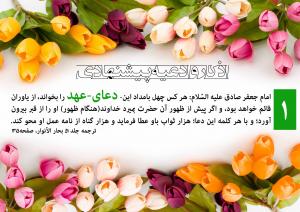 IMAGE(http://askdin.com/sites/default/files/gallery/images/22541/medium/1_1_copy.JPG)