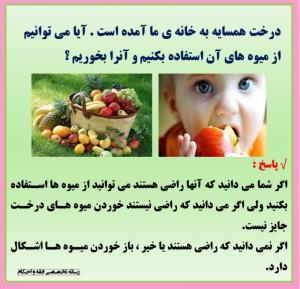 IMAGE(http://askdin.com/sites/default/files/gallery/images/22541/medium/1_816701-bc521793464cf045079323c7f86e40ab-l.jpg)