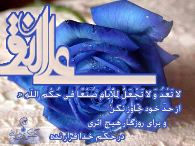 IMAGE(http://askdin.com/sites/default/files/gallery/images/23007/1_131.jpg)