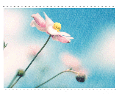 IMAGE(http://askdin.com/sites/default/files/gallery/images/23376/1_25438016089965218107.gif)