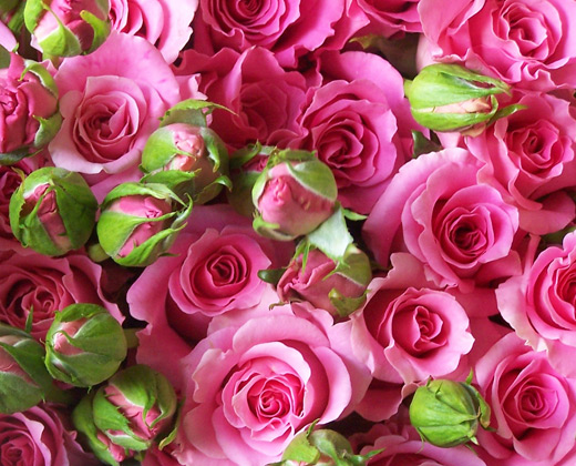 IMAGE(http://askdin.com/sites/default/files/gallery/images/23376/1_506141_O6Ud45le.jpg)