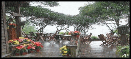 IMAGE(http://askdin.com/sites/default/files/gallery/images/23376/1_52904006091236016842.gif)