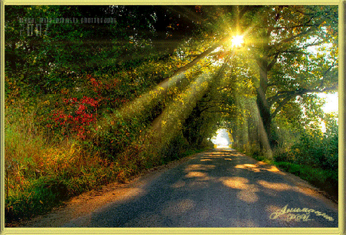 IMAGE(http://askdin.com/sites/default/files/gallery/images/23376/1_lxe26tpvvbq7p77it6l.gif)